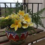 Profumo Barocco 1 Vakantiehuis